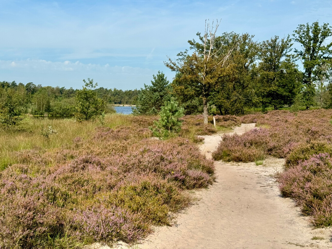 Haaren - Middelbeers · Pelgrimspad etappe 14