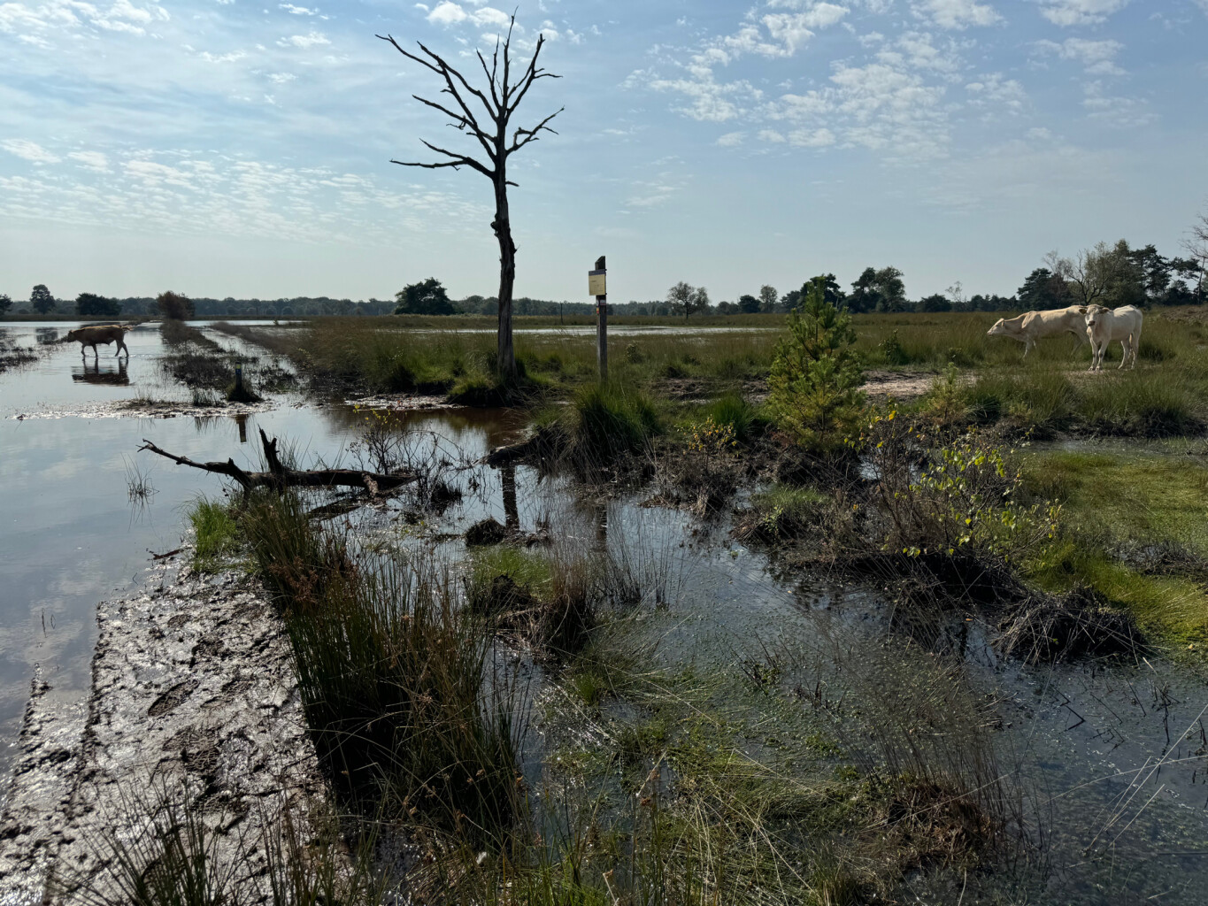 Haaren - Middelbeers · Pelgrimspad etappe 14