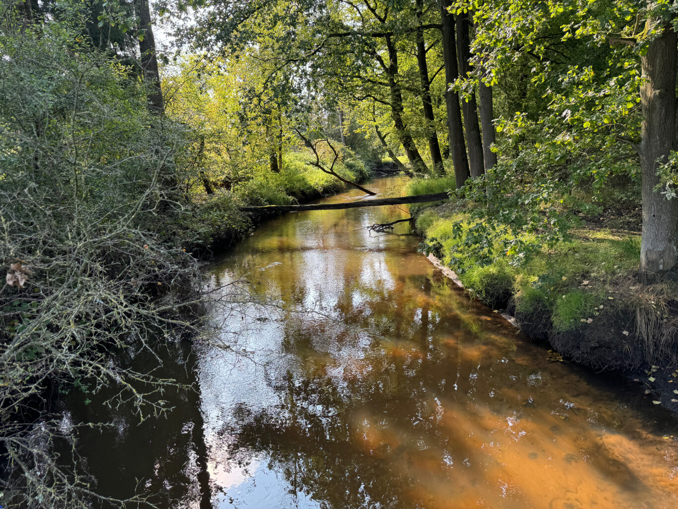 Steensel - Heeze station · Pelgrimspad etappe 16