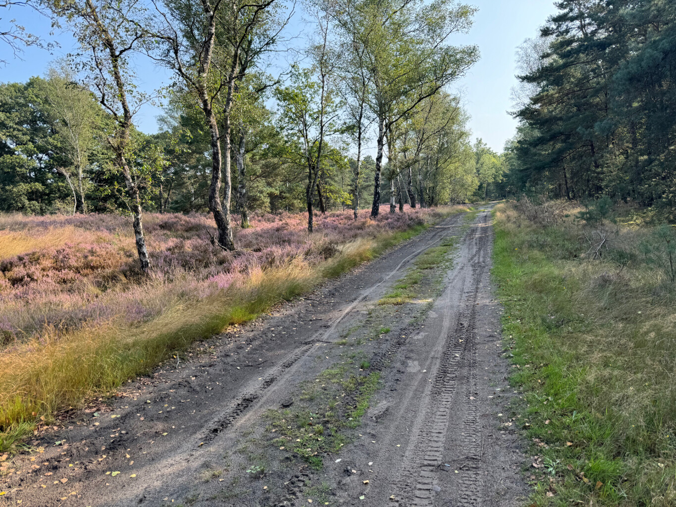 Steensel - Heeze station · Pelgrimspad etappe 16