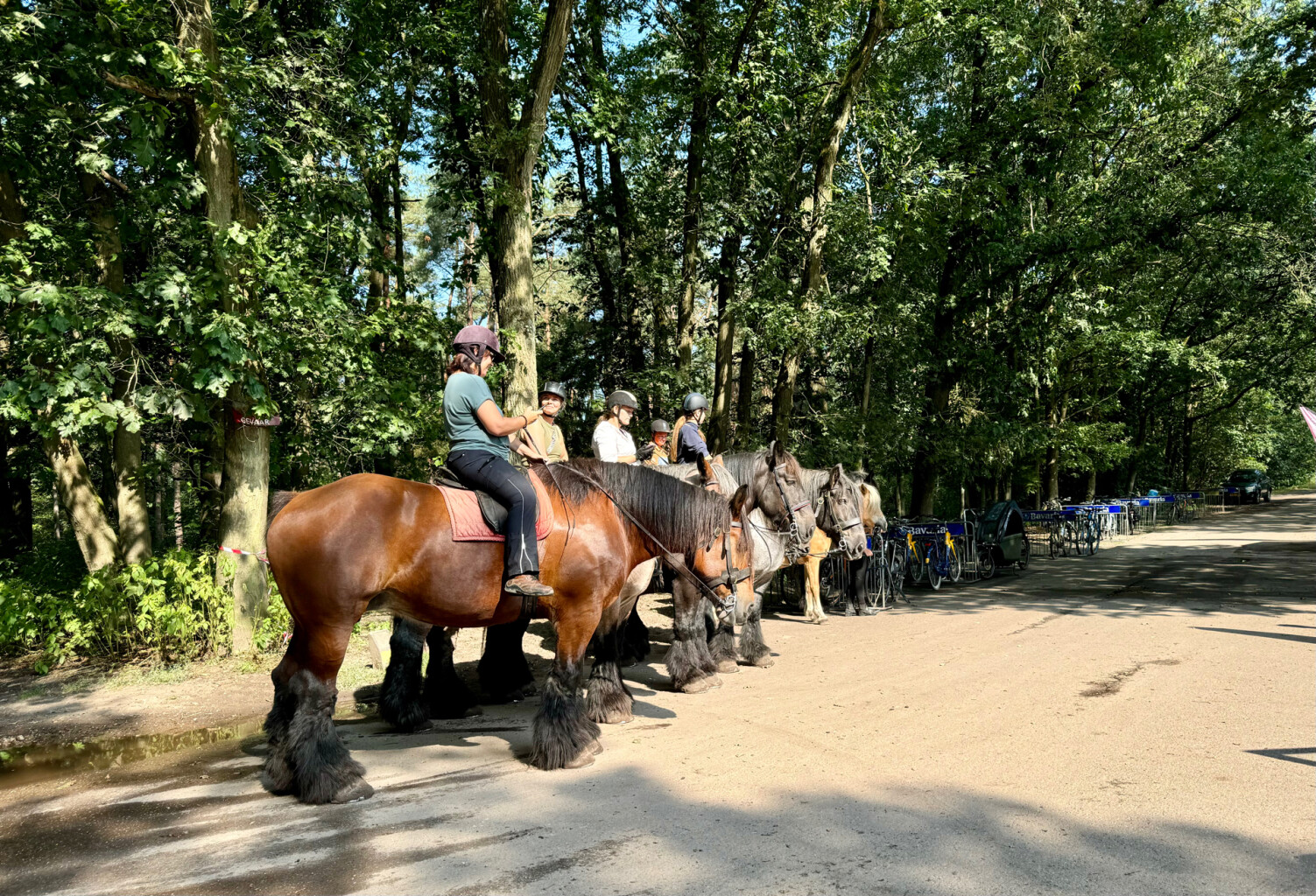 Steensel - Heeze station · Pelgrimspad etappe 16