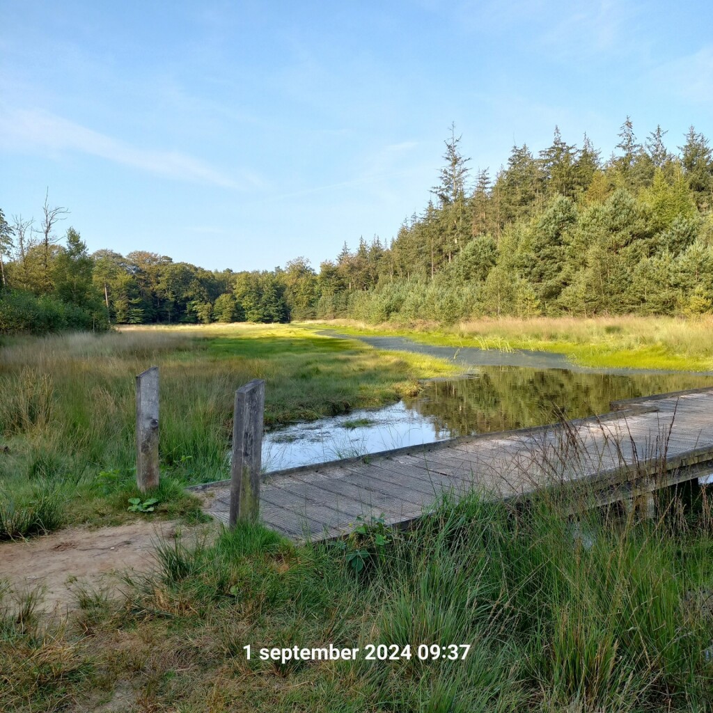 Boswandeling De Slotplaats in Bakkeveen (Friesland)