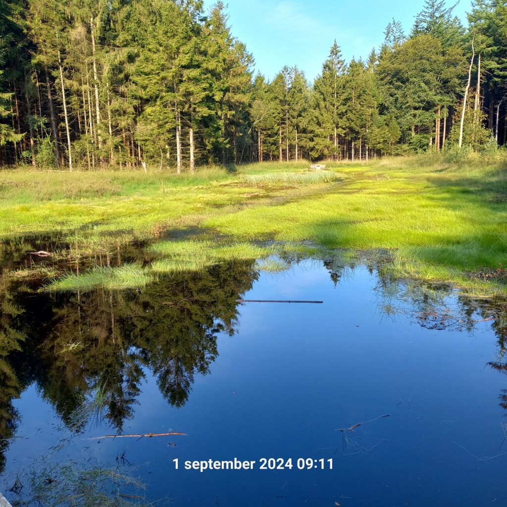 Boswandeling De Slotplaats in Bakkeveen (Friesland)