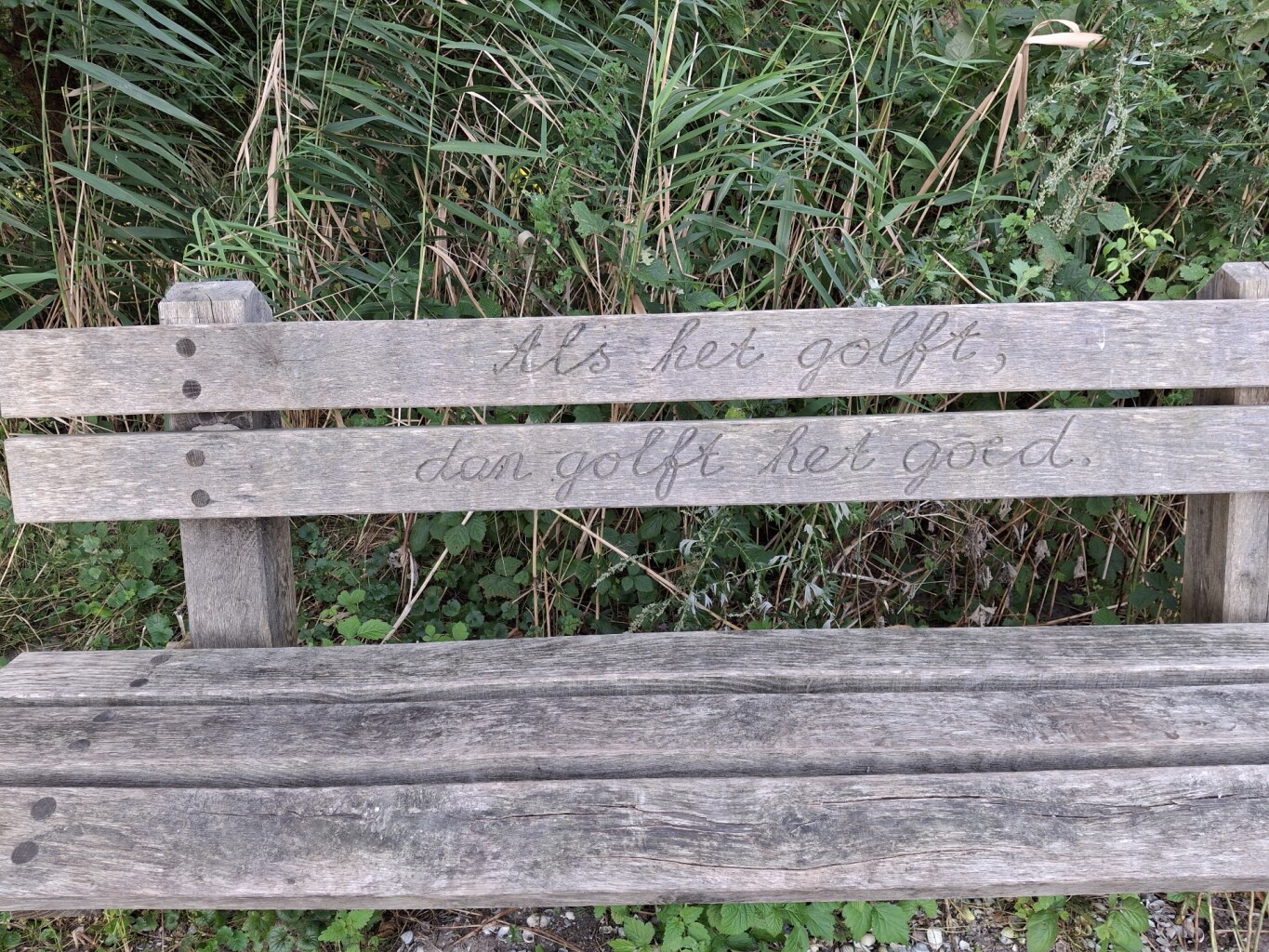 Wandelroute De Koploper in de duinen van Goeree (deel 2)