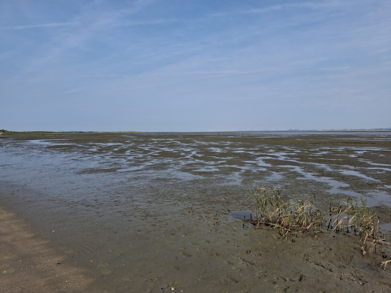Wandelroute De Koploper in de duinen van Goeree (deel 2)