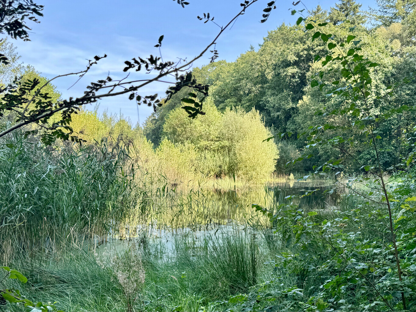 Wageningen - Heelsum · Maarten van Rossumpad etappe 8