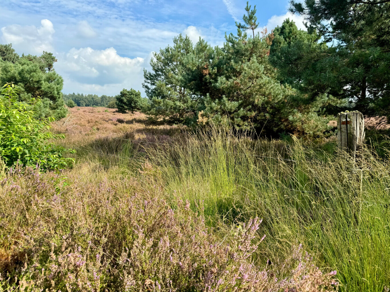 Heeze station - Maarheeze station · Pelgrimspad etappe 17