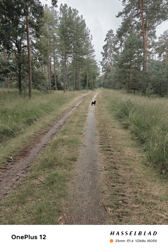 Geldrop - Heeze station · Brabants Vennenpad etappe 5