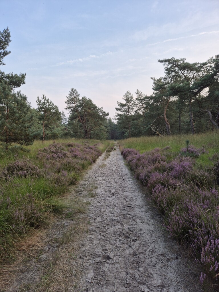 Wandelroute Haas, vlak bij Ossendrecht