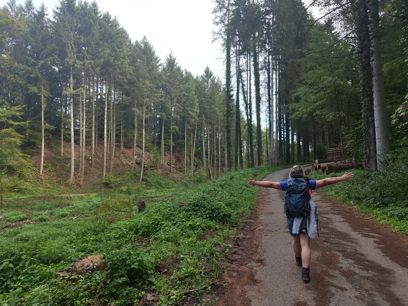 Hersberg - Scheidgen · Mullerthal Trail etappe 12