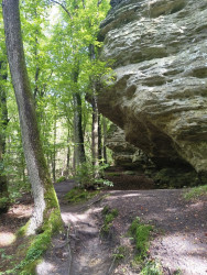 Scheidgen - Echternach · Mullerthal Trail etappe 13