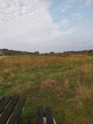 Ameland 2: Boomhiemke bungalowpark - Strandhotel Buren aan Zee · WaddenWandelen etappe 14