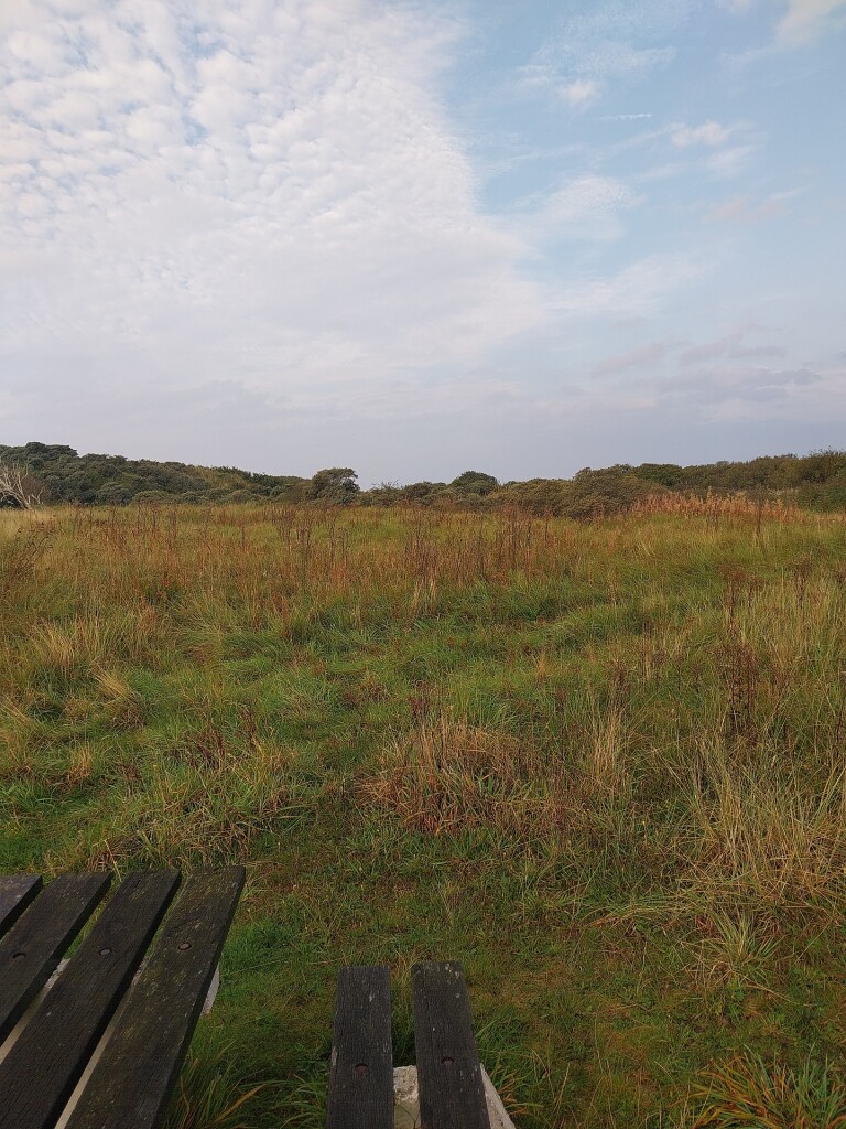 Ameland 2: Boomhiemke bungalowpark - Strandhotel Buren aan Zee · WaddenWandelen etappe 14