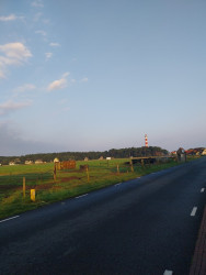 Ameland 2: Boomhiemke bungalowpark - Strandhotel Buren aan Zee · WaddenWandelen etappe 14