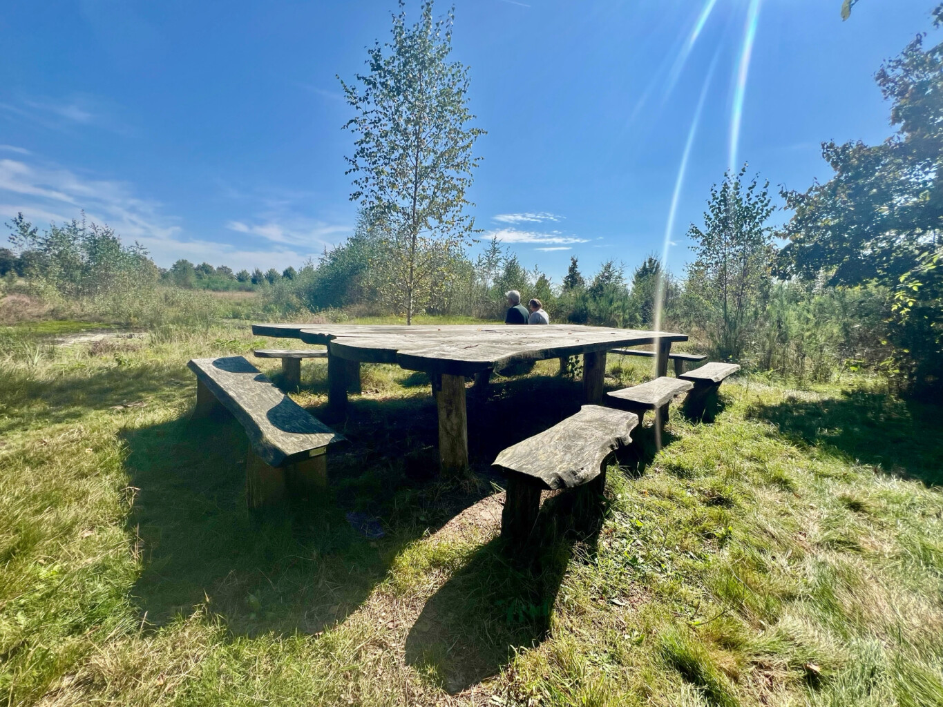 Van Moesland tot Maasland