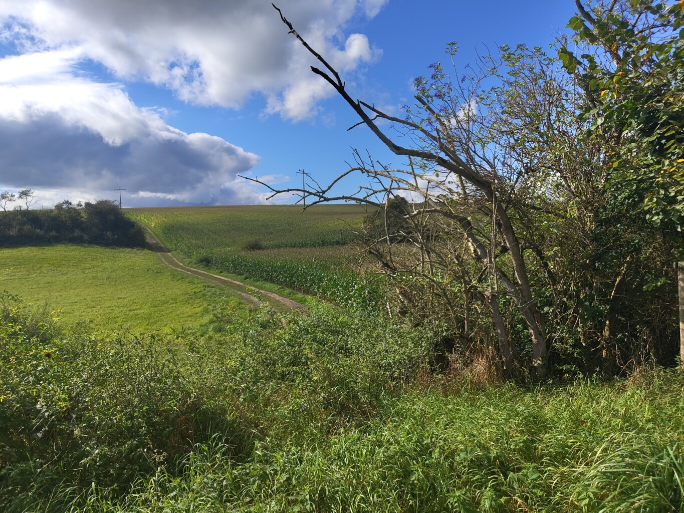 Blumenthal - Larochette · Mullerthal Trail etappe 8