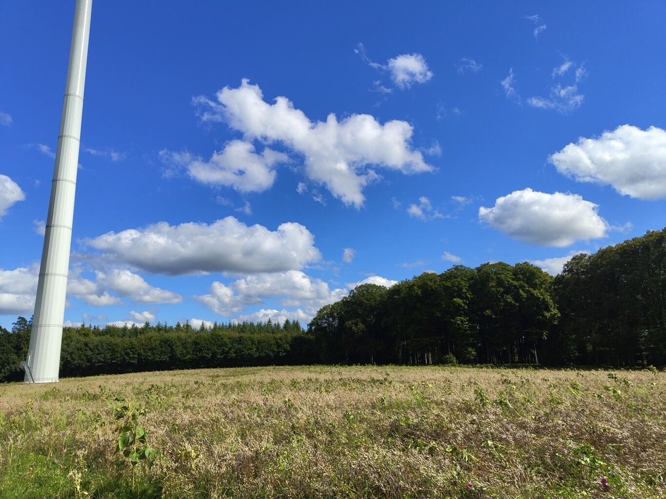 Larochette - Beaufort · Mullerthal Trail etappe 9