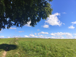 Larochette - Beaufort · Mullerthal Trail etappe 9