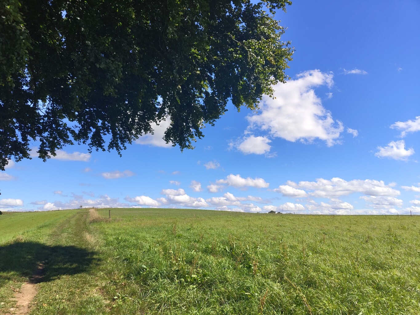 Larochette - Beaufort · Mullerthal Trail etappe 9