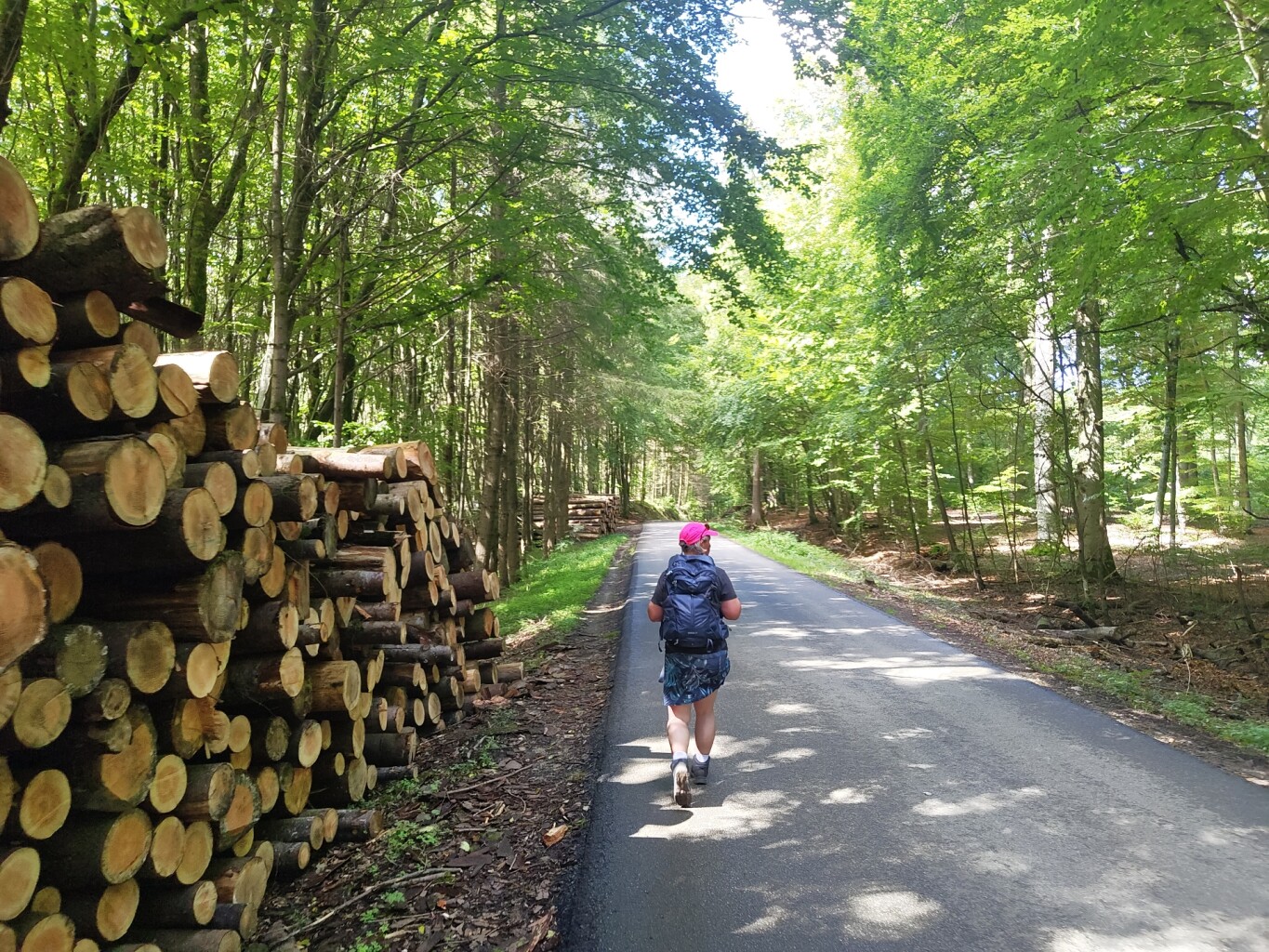 Larochette - Beaufort · Mullerthal Trail etappe 9