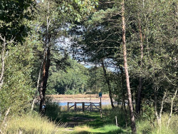 Heeze station - Maarheeze station · Pelgrimspad etappe 17