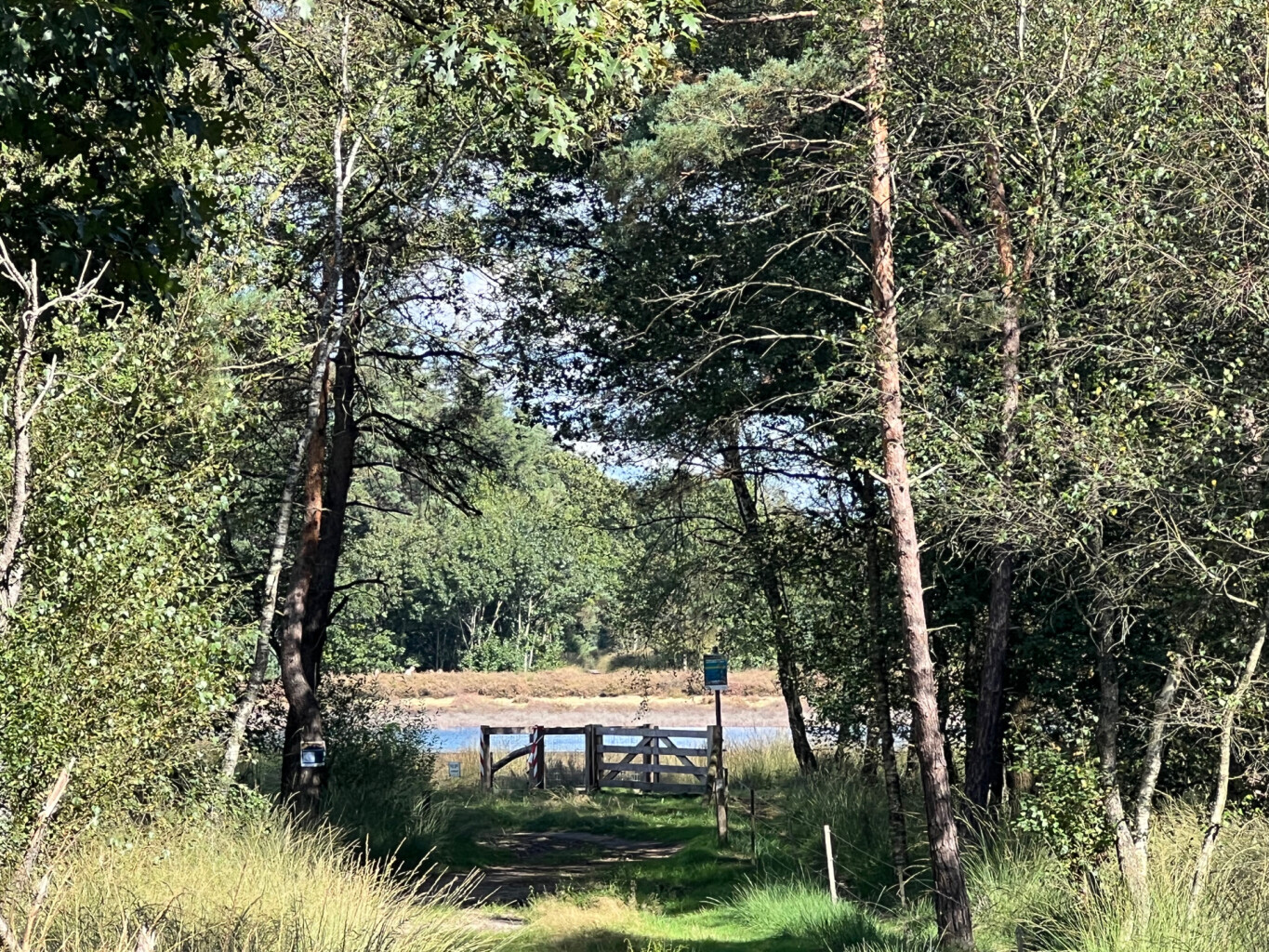 Heeze station - Maarheeze station · Pelgrimspad etappe 17