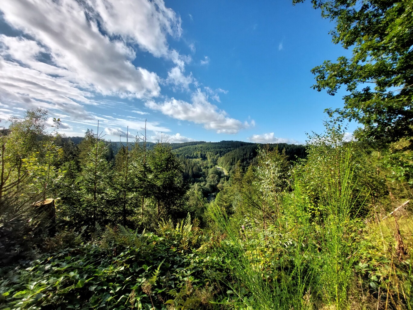 Monschau - Einruhr · Eifelsteig etappe 3