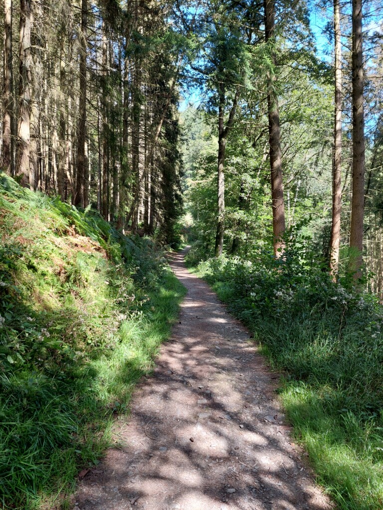Monschau - Einruhr · Eifelsteig etappe 3