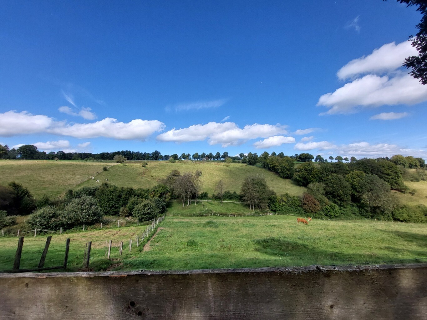 Monschau - Einruhr · Eifelsteig etappe 3