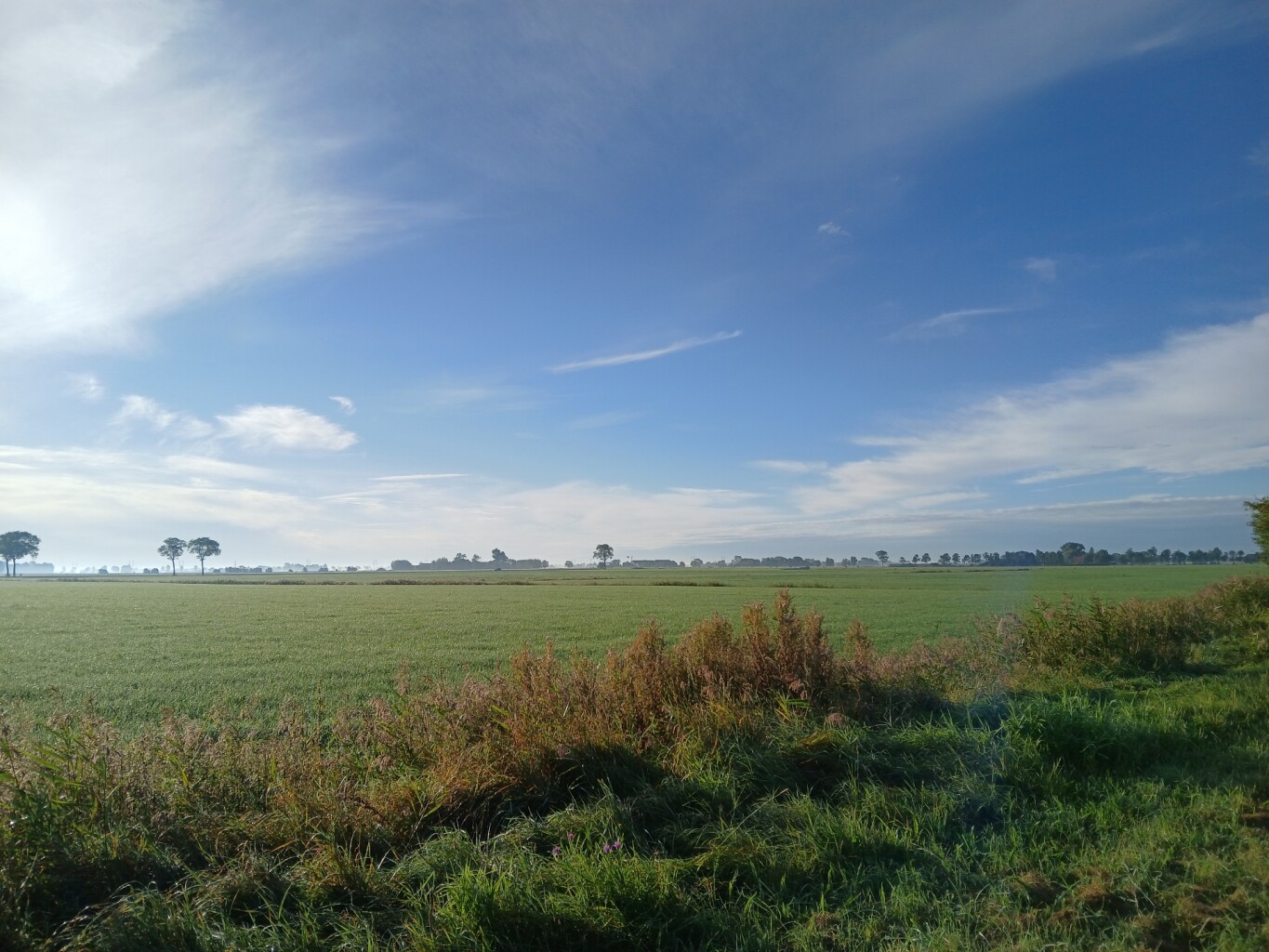 Ezinge - Leens  · Groninger Borgenpad etappe 5