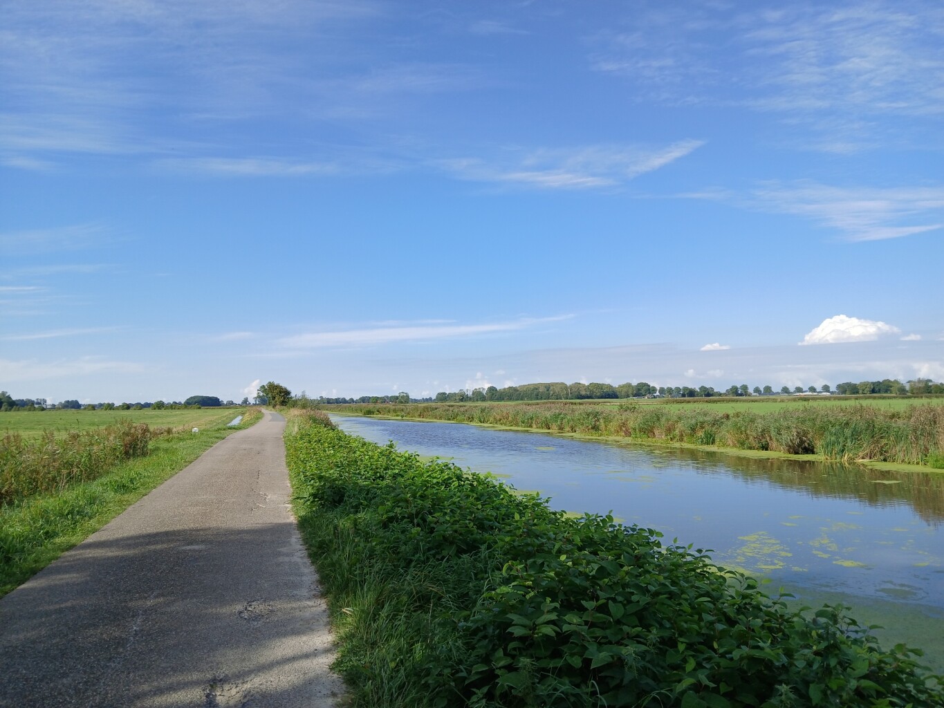 Ezinge - Leens  · Groninger Borgenpad etappe 5