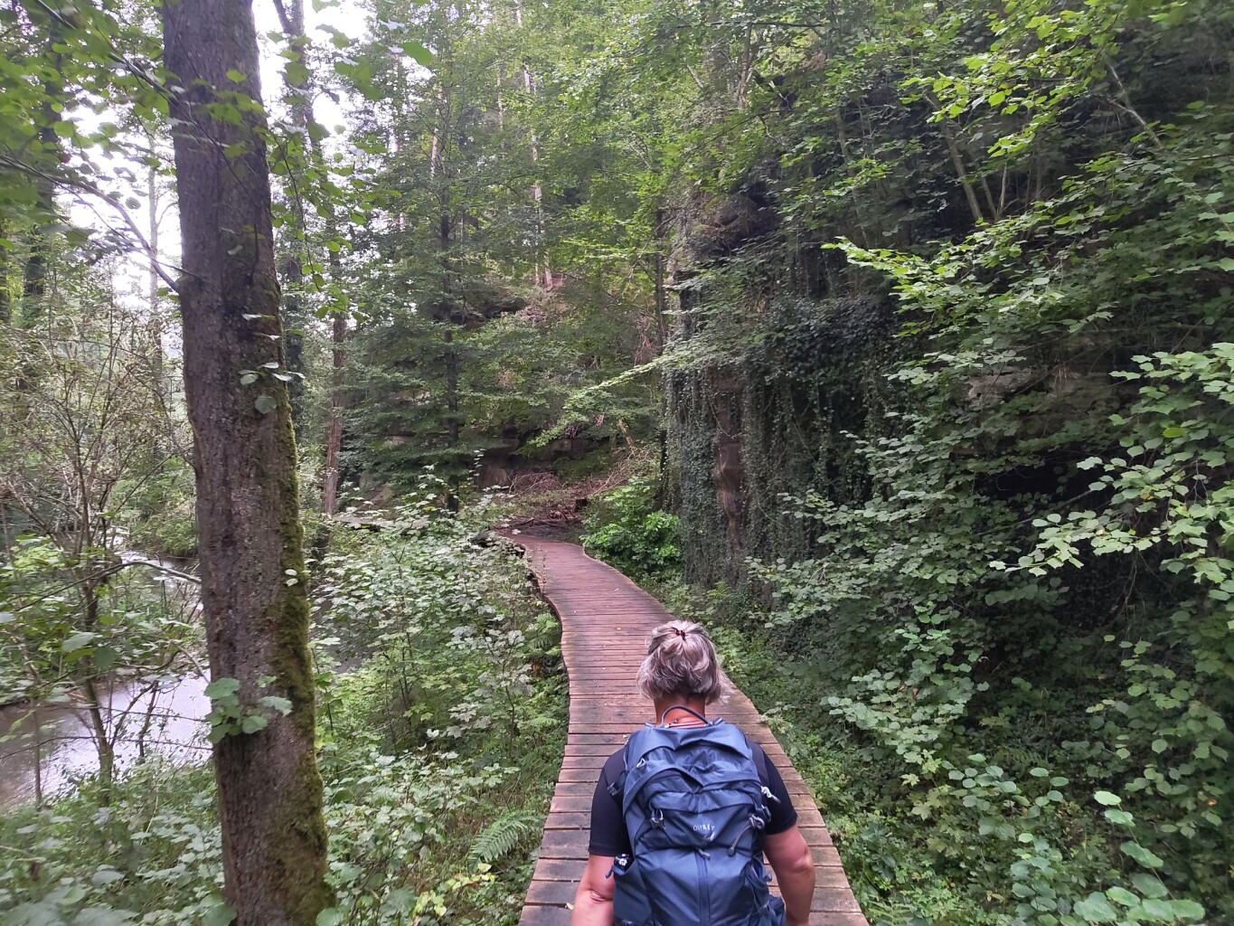 Mullerthal - Blumenthal · Mullerthal Trail etappe 7