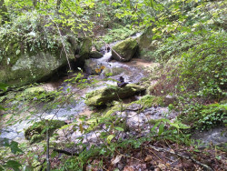 Beaufort - Mullerthal · Mullerthal Trail etappe 10