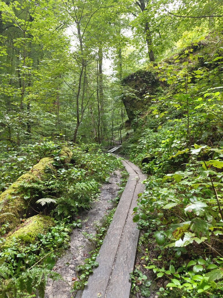 Beaufort - Mullerthal · Mullerthal Trail etappe 10