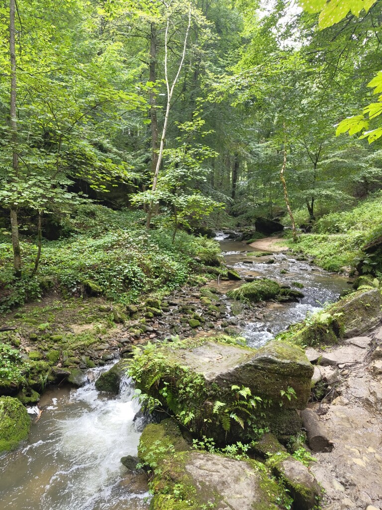 Beaufort - Mullerthal · Mullerthal Trail etappe 10