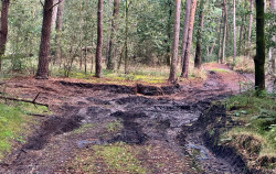 Maarheeze station - Weert · Pelgrimspad etappe 18