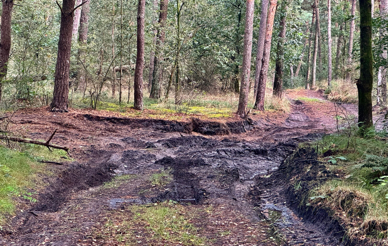 Maarheeze station - Weert · Pelgrimspad etappe 18
