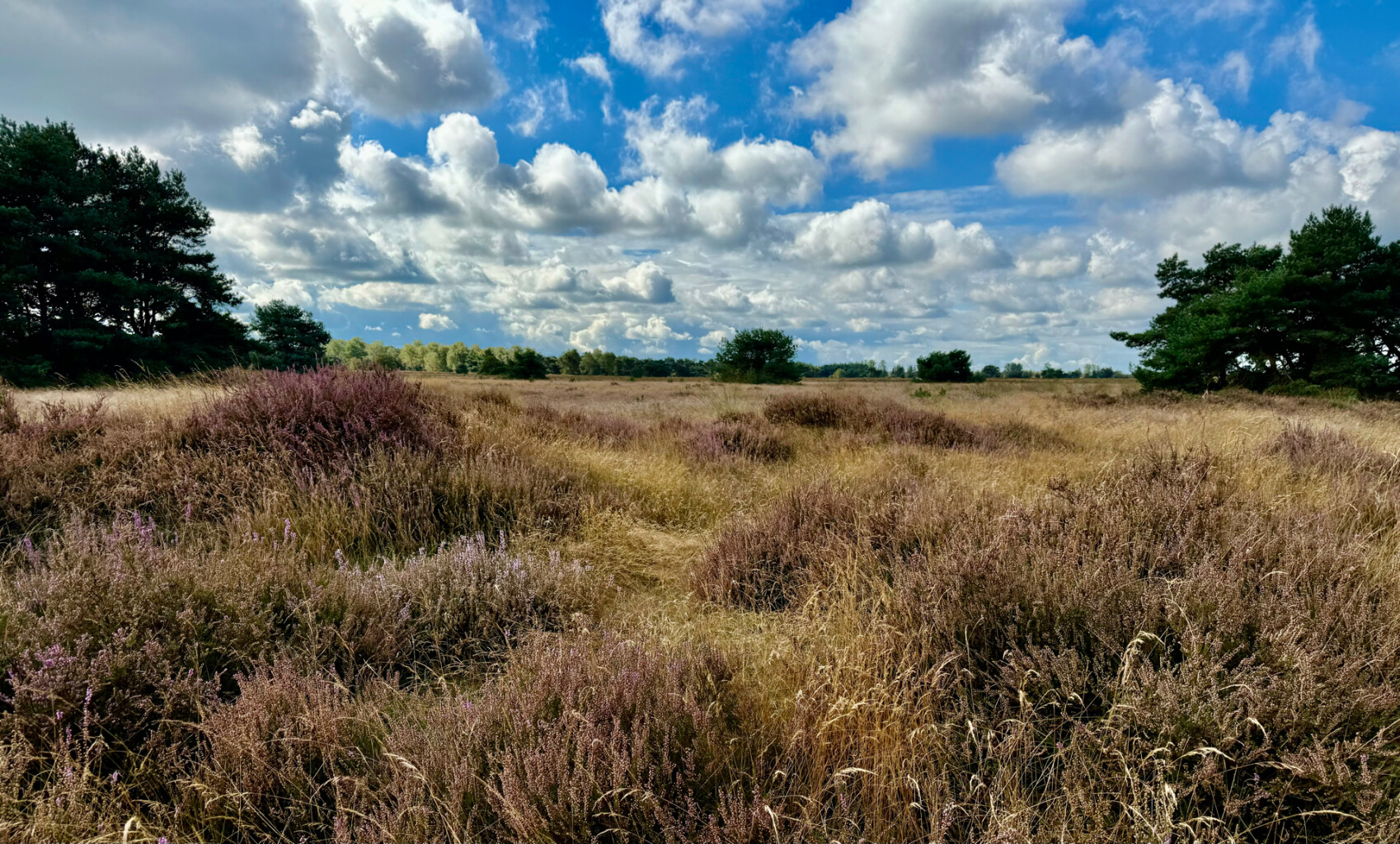 Maarheeze station - Weert · Pelgrimspad etappe 18