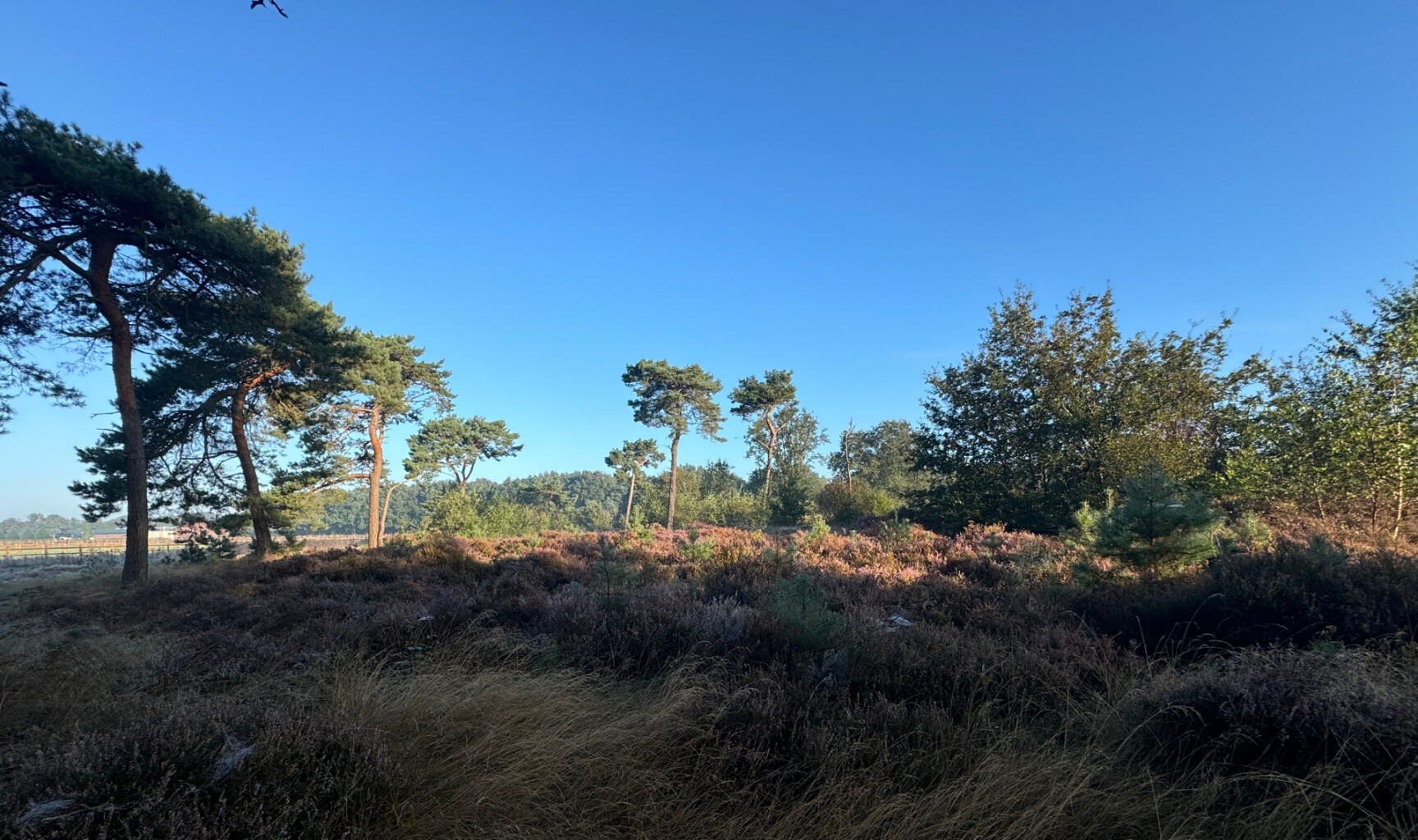 Weert - Ell · Pelgrimspad etappe 19