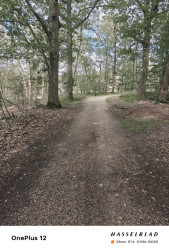 Geldrop - Heeze station · Brabants Vennenpad etappe 5