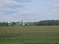 Beusichem (bushalte Kerk) - Maurik (bushalte Pr. Marijkelaan) · Betuwepad etappe 7