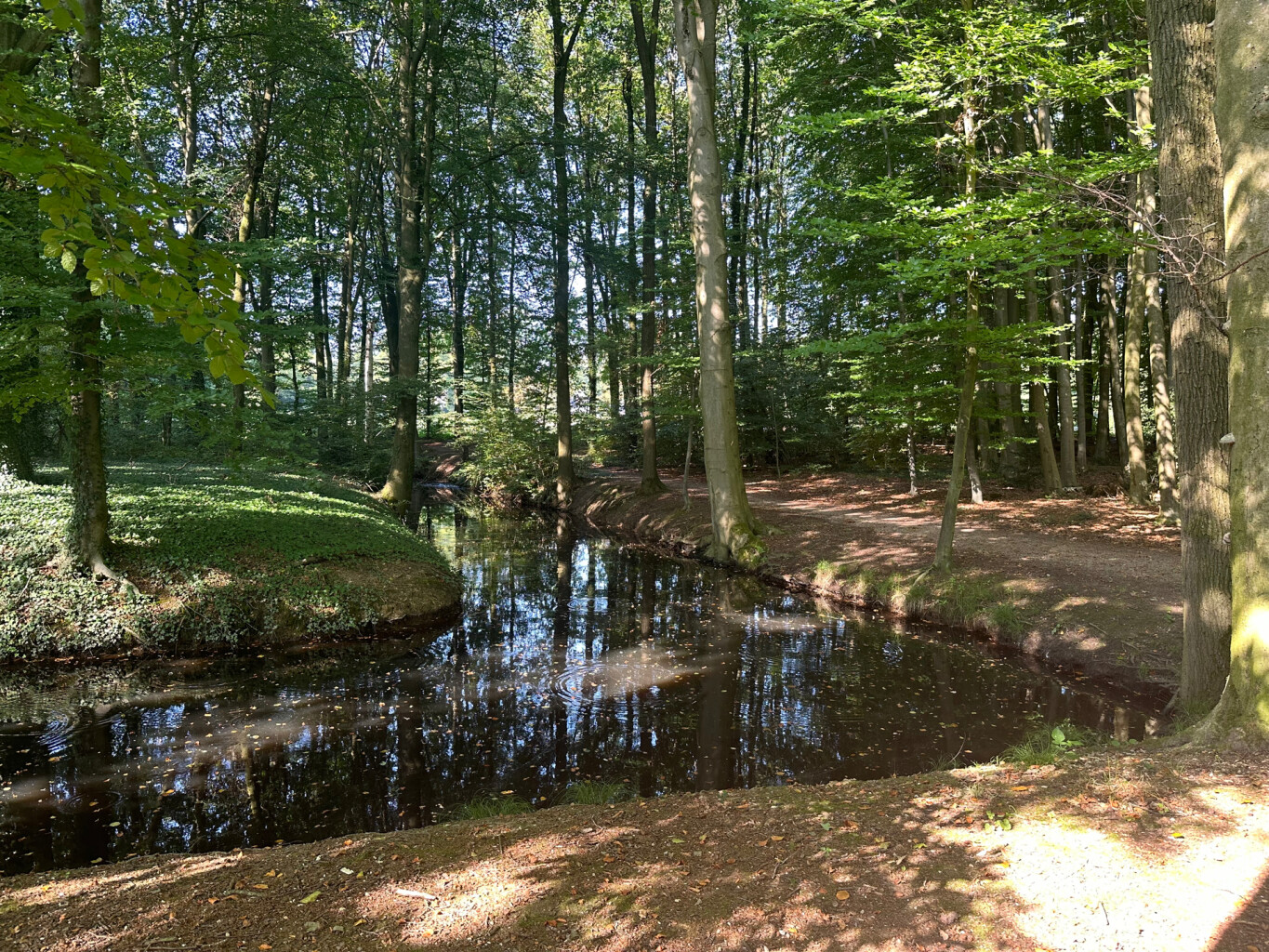 Bad Bentheim - Oldenzaal · Marskramerpad etappe 1