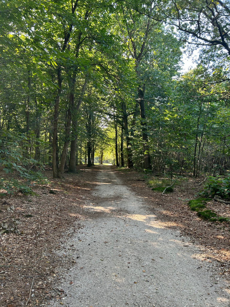 Plasmolen - Malden · Walk of Wisdom etappe 4