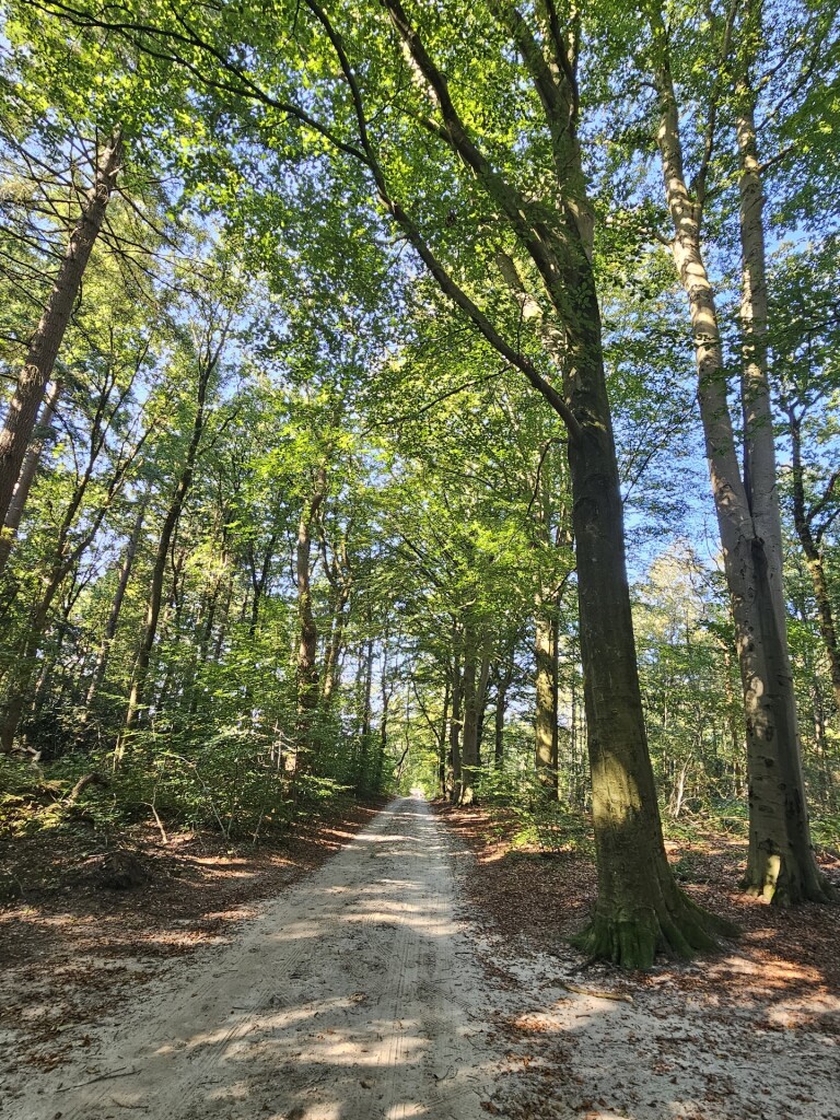 Skouleane - Johan Frisosluis (Stavoren) · Elfstedenpad etappe 5