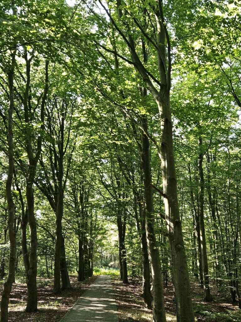 Balk - Skouleane · Elfstedenpad etappe 4