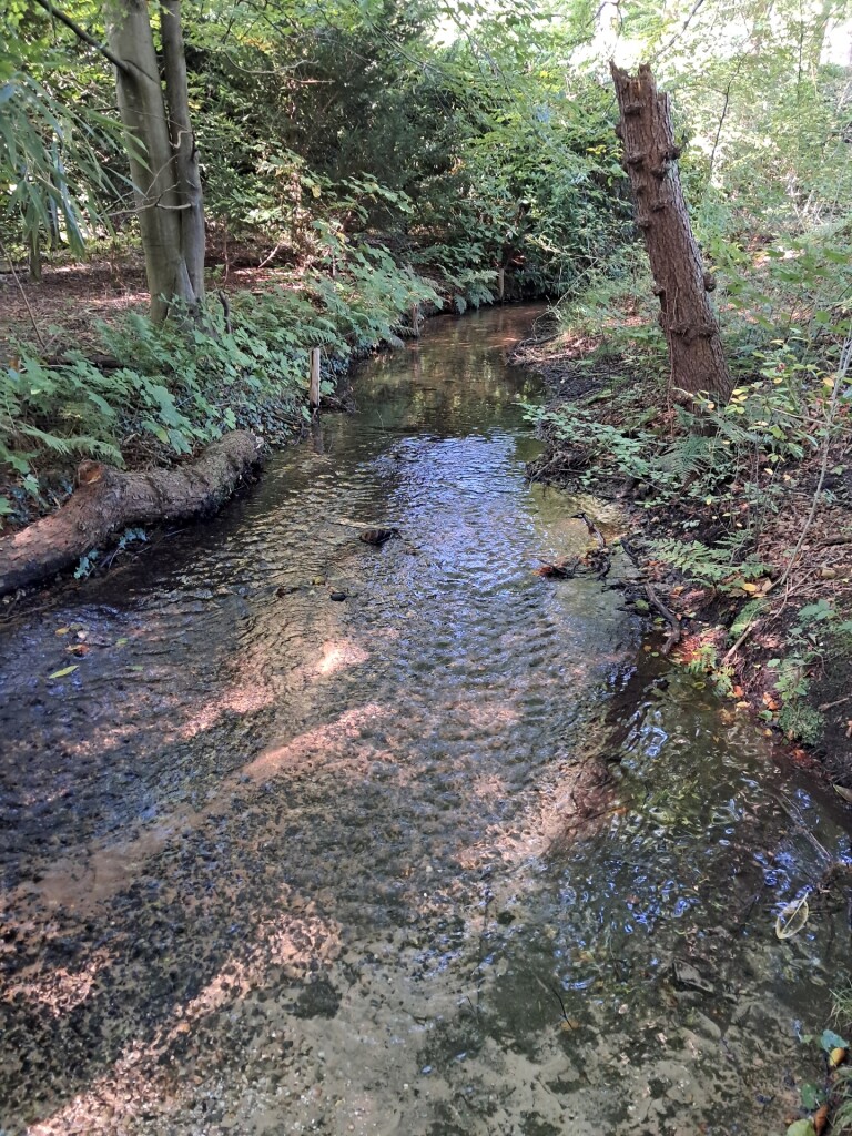 Wandelroute Beekhuizen Keienberg Veluwezoom, bij Velp