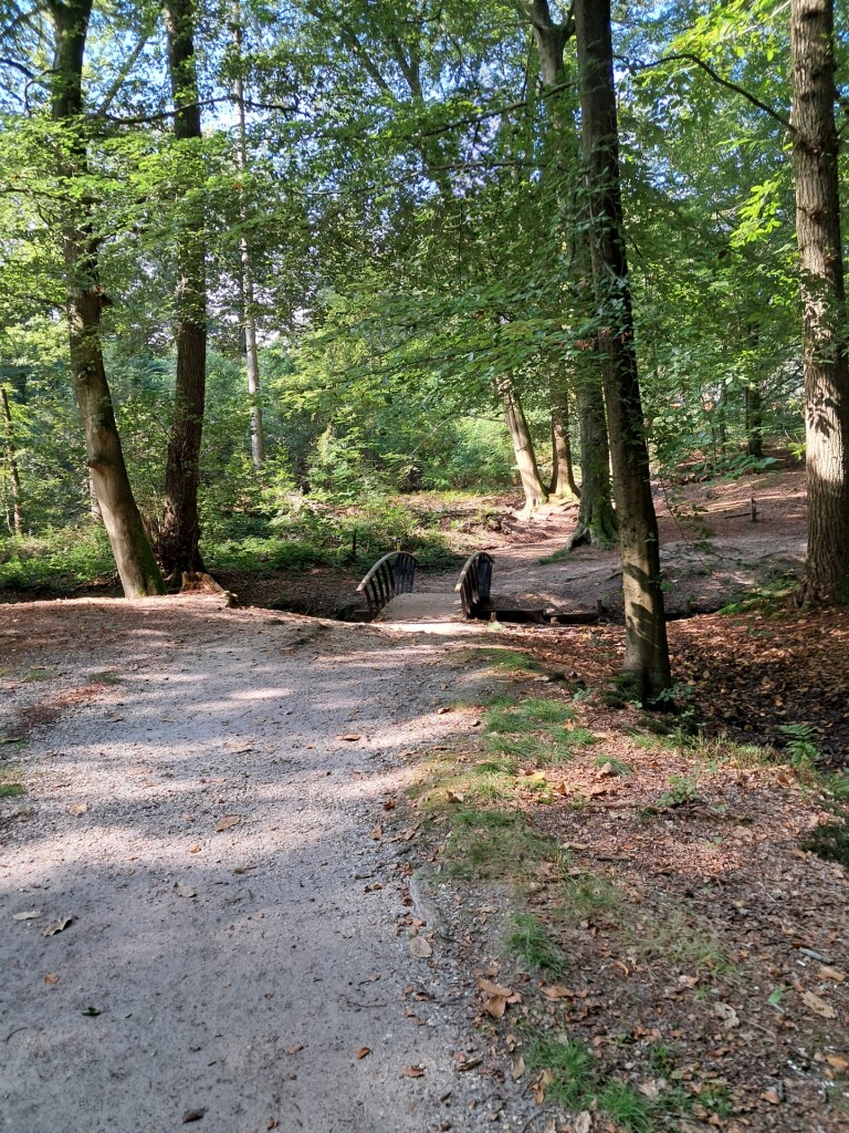 Wandelroute Beekhuizen Keienberg Veluwezoom, bij Velp