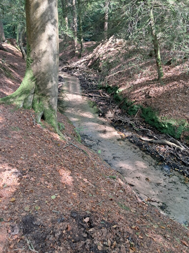 Wandelroute Beekhuizen Keienberg Veluwezoom, bij Velp