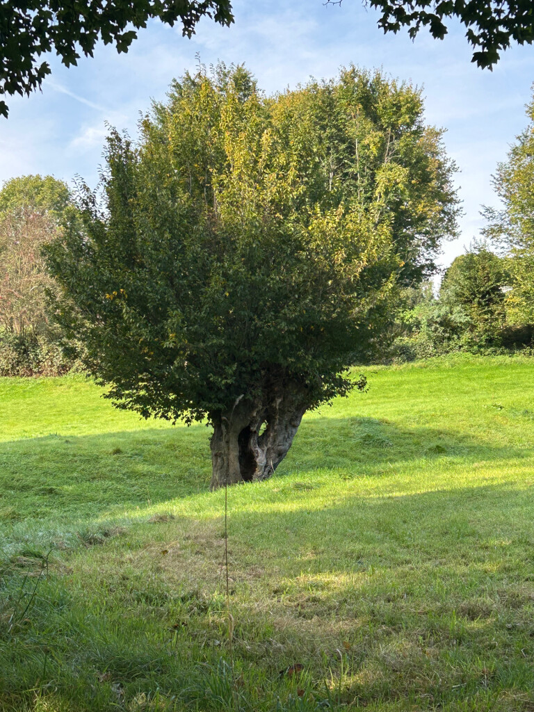 Romeinse hoogtepunten in Simpelveld