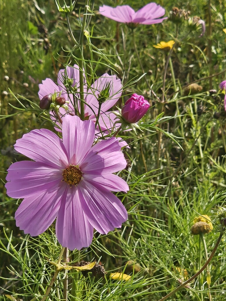 etappe 8  betuweroute